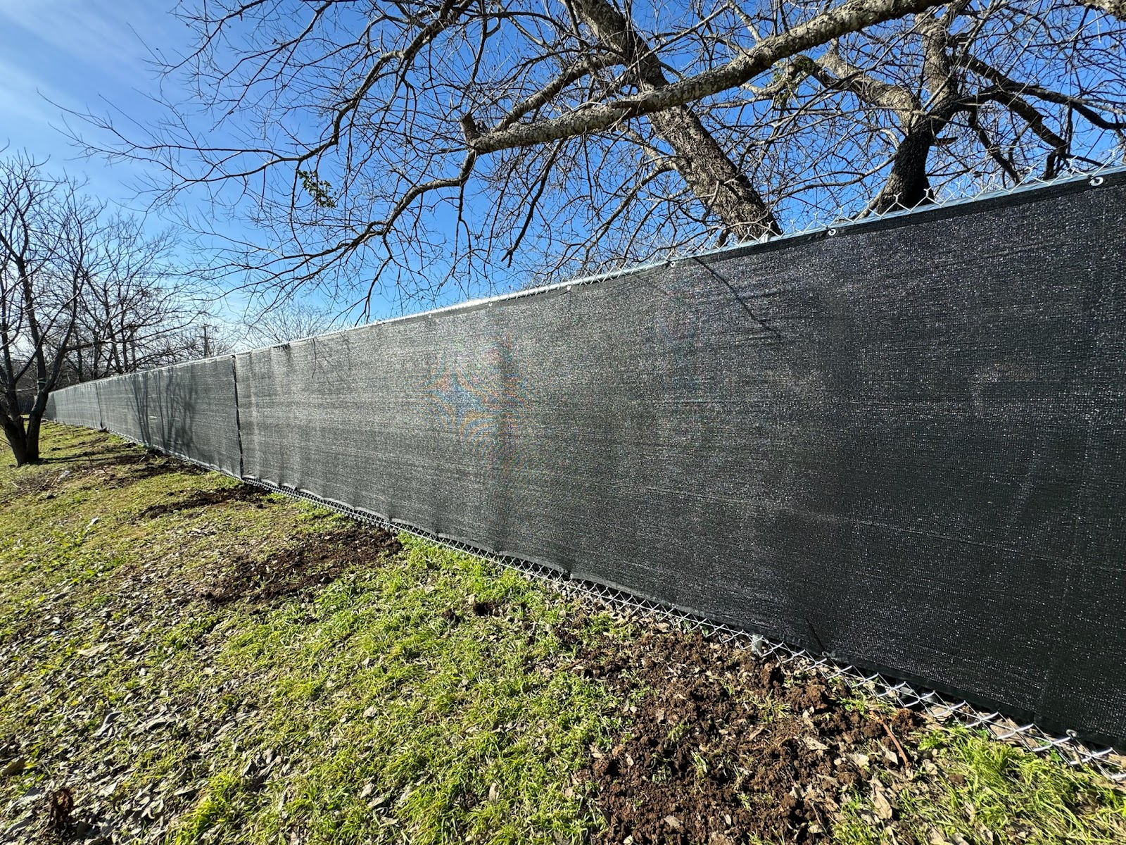 Chainlink Fence with Privacy Screen located in Austin, Texas