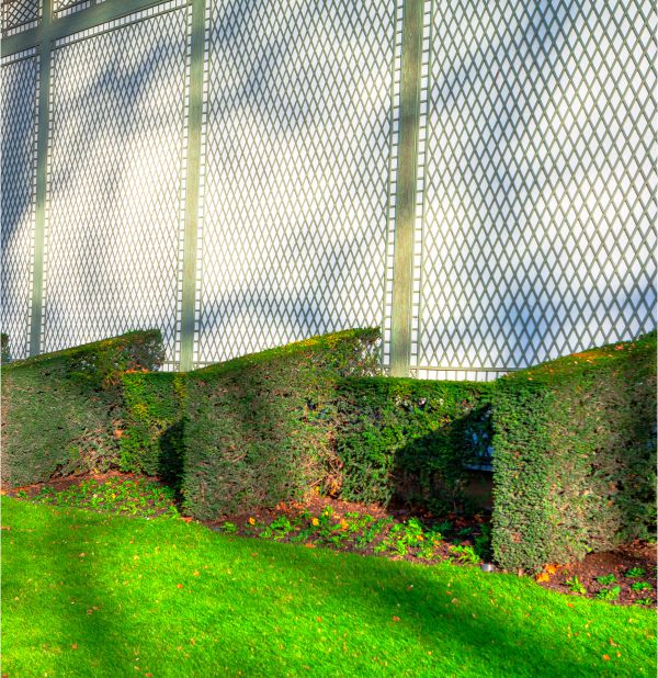 Why Sagamore Fence & Deck is Considered One of the Best Fence Companies Near Me