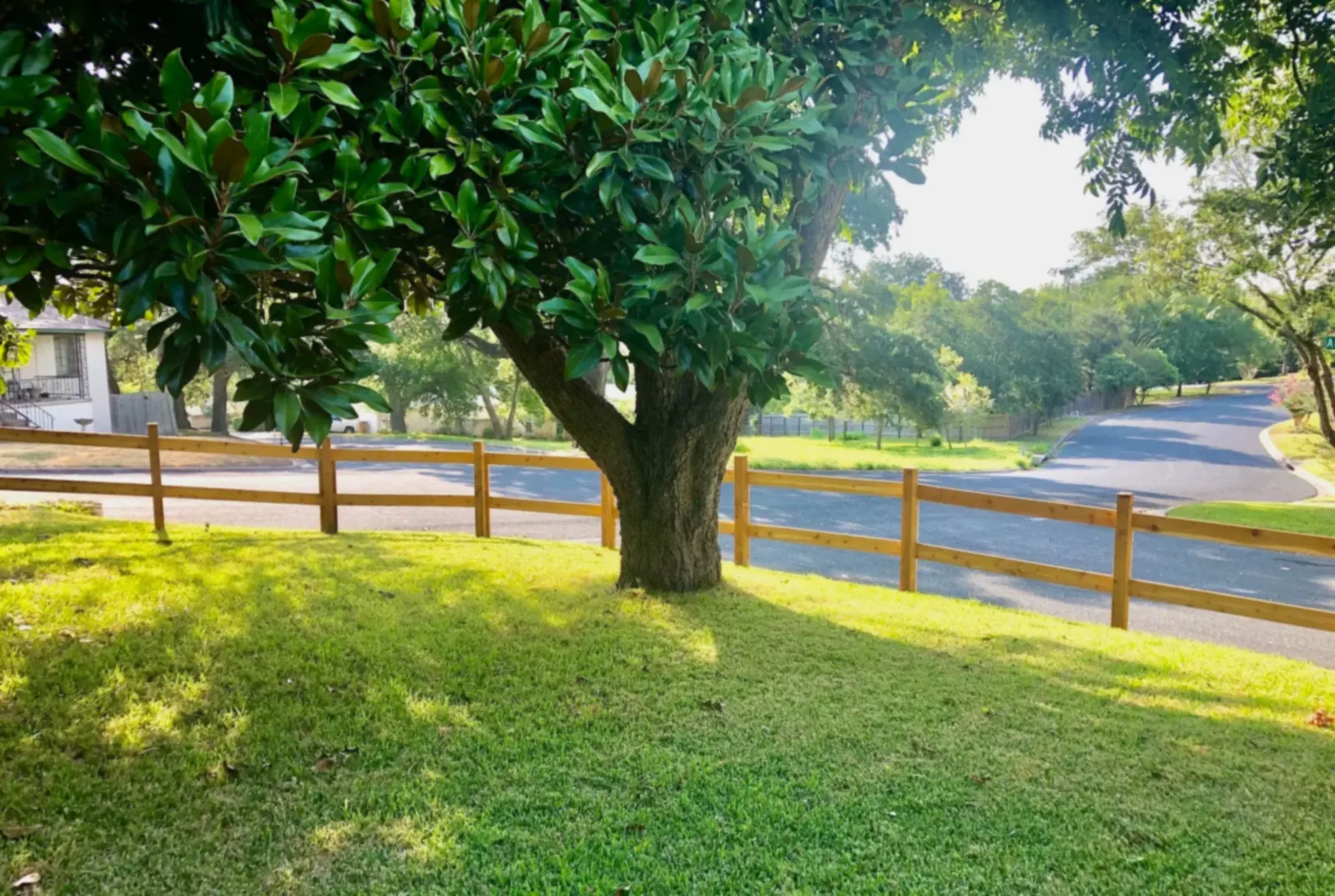 Wood post-and-rail fence along a sloped front yard with a large shade tree, built by Sagamore Fence & Deck for Jarrell, TX homes