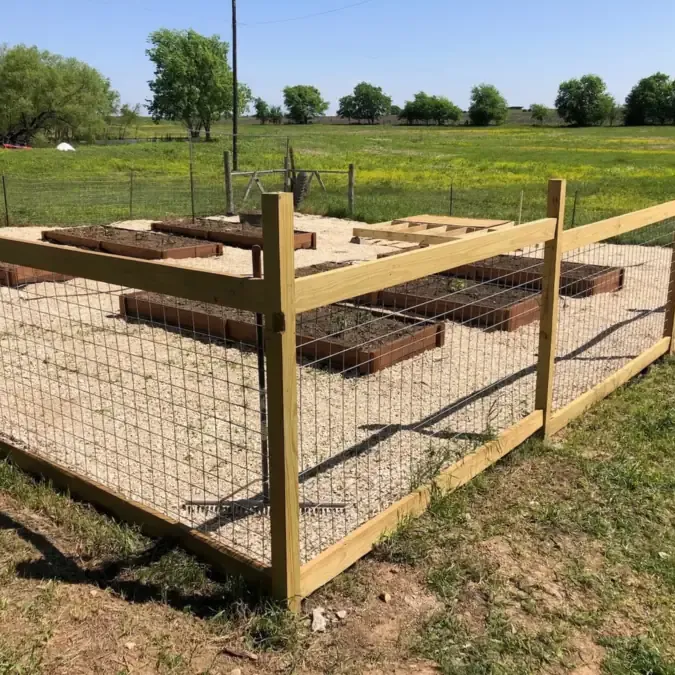Wood-framed wire mesh fence around raised garden beds on open land
